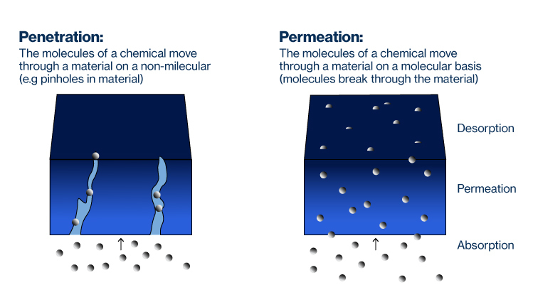 The illustrated difference between how molecules penetrate versus permeate through a material.