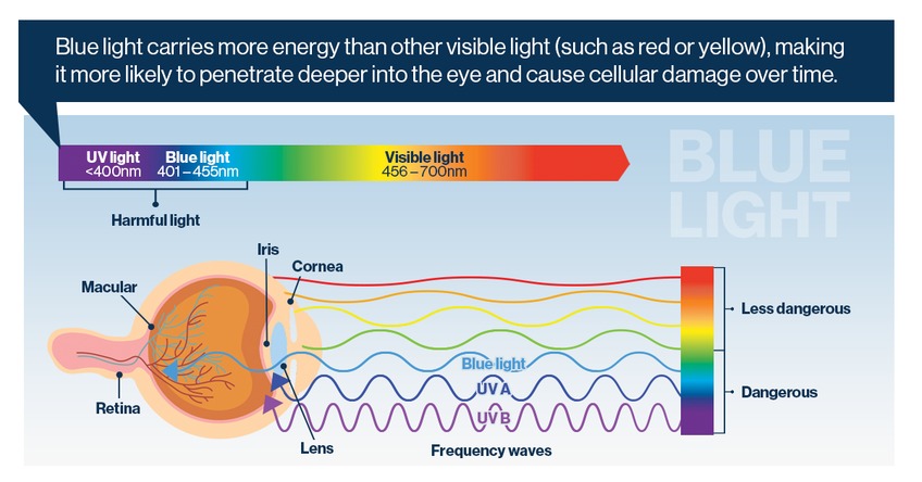Blue light carries more energy than other colors of light, making it more likely to damage eyes.