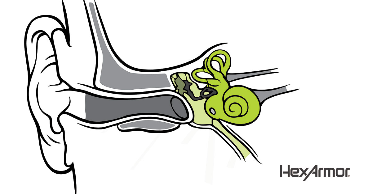 Hearing protection 101: The anatomy of the ear and how we hear