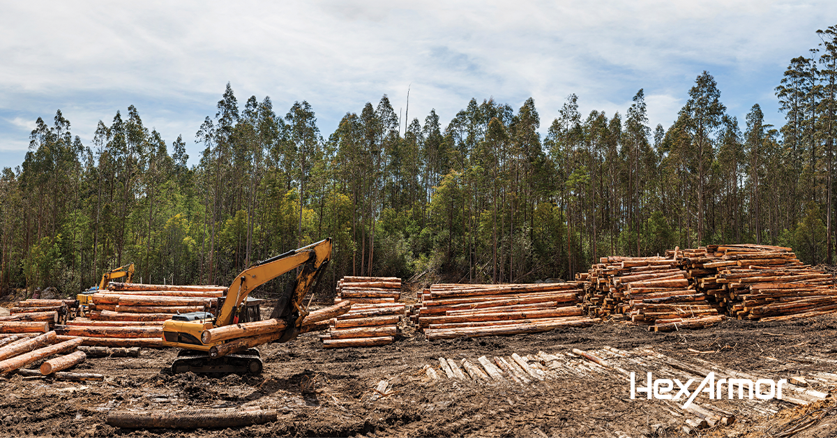 West Fraser employee's hand saved from extreme laceration | Lumber